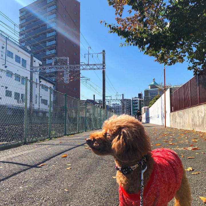 512ab0c9 4a17 444e 8f69 85f8d0efacc0 1605417573511