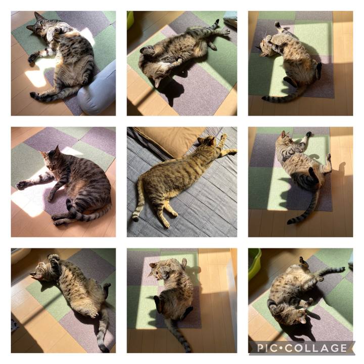 512ab650 dfee 4d54 9b3e 34a113554b83 1686952040525