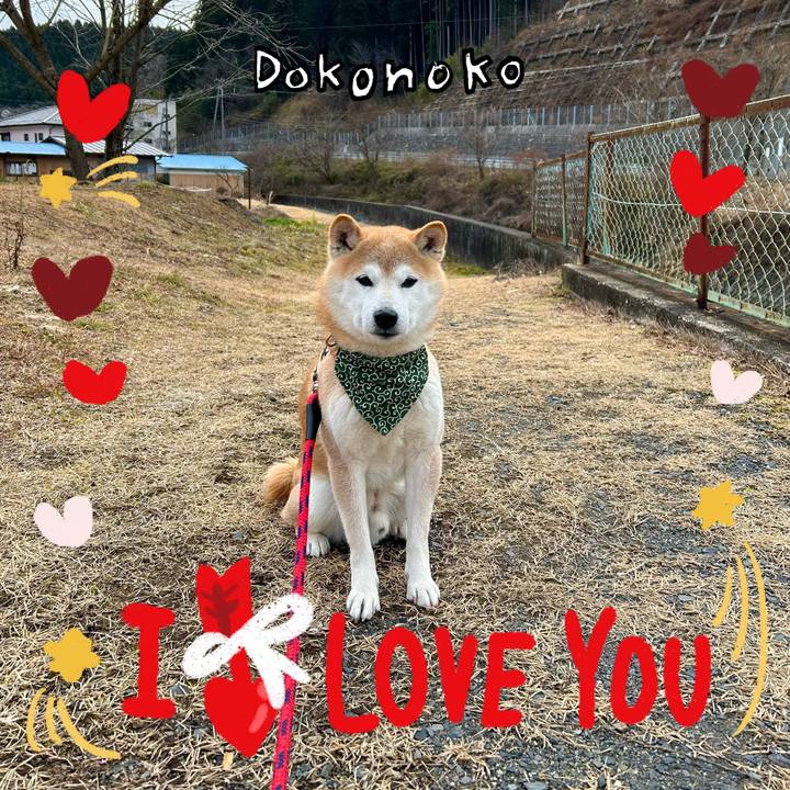 512af41b 7875 4486 92f3 1f6e560023db 1706865133236