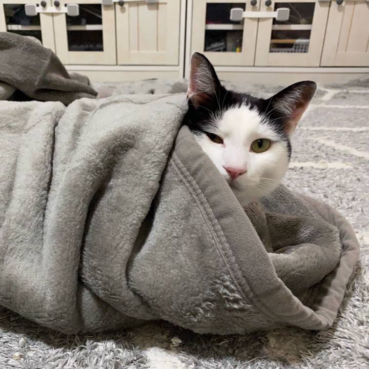 512b0111 ed46 419b a930 47cac1fe59c7 1607862933885