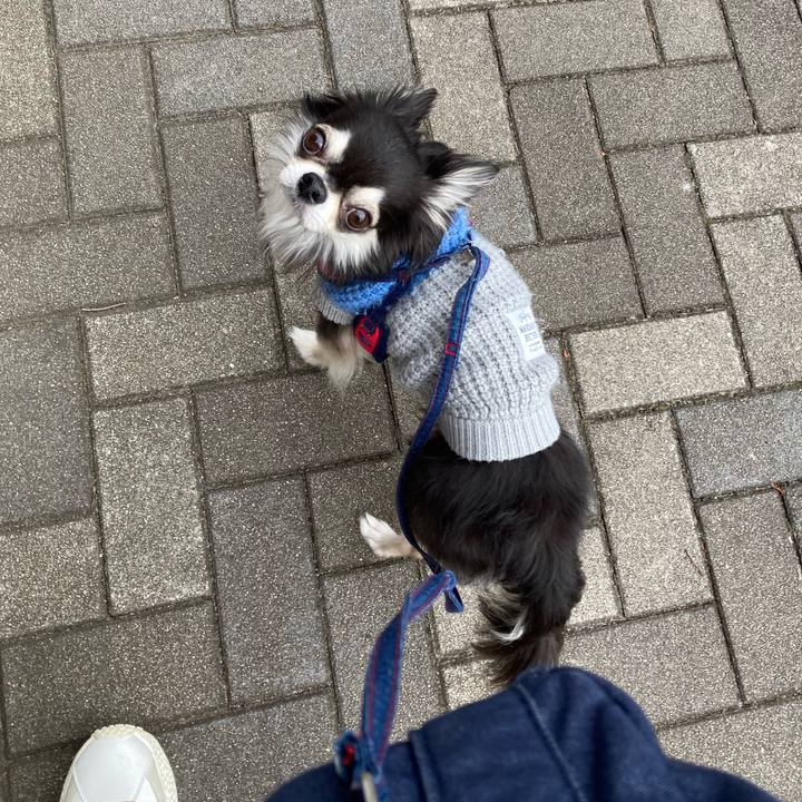 512b0ade 16e6 481e ac30 06806df822e8 1707026755582