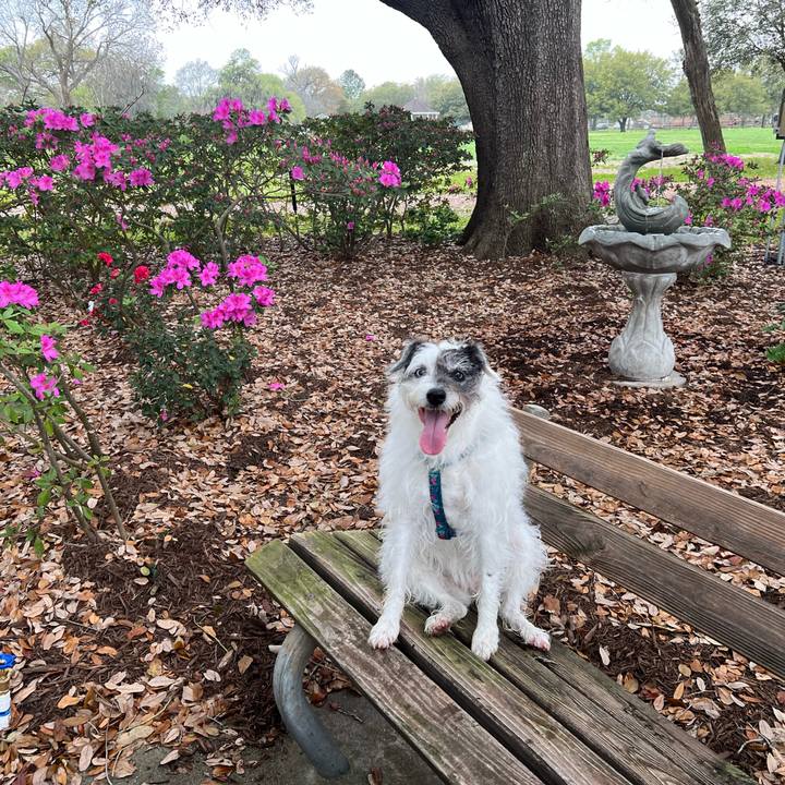 512b2b08 70aa 4449 aba6 89ea3082f0d0 1709677222180