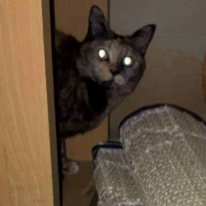 512b53c3 9cd5 4551 8003 515e7d987e63 1743540016197