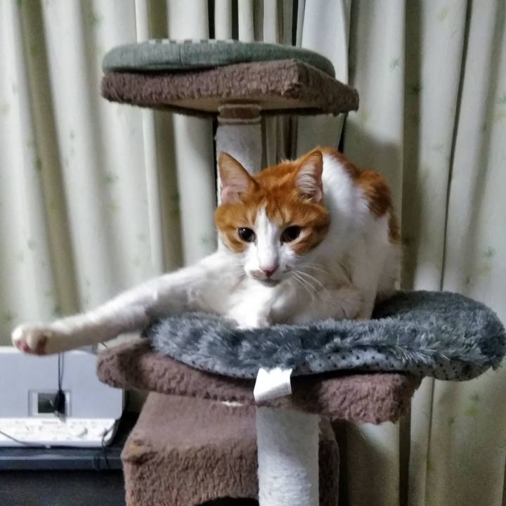 512b5652 75b1 448e 9999 1dfab9d7cd66 1553312249003