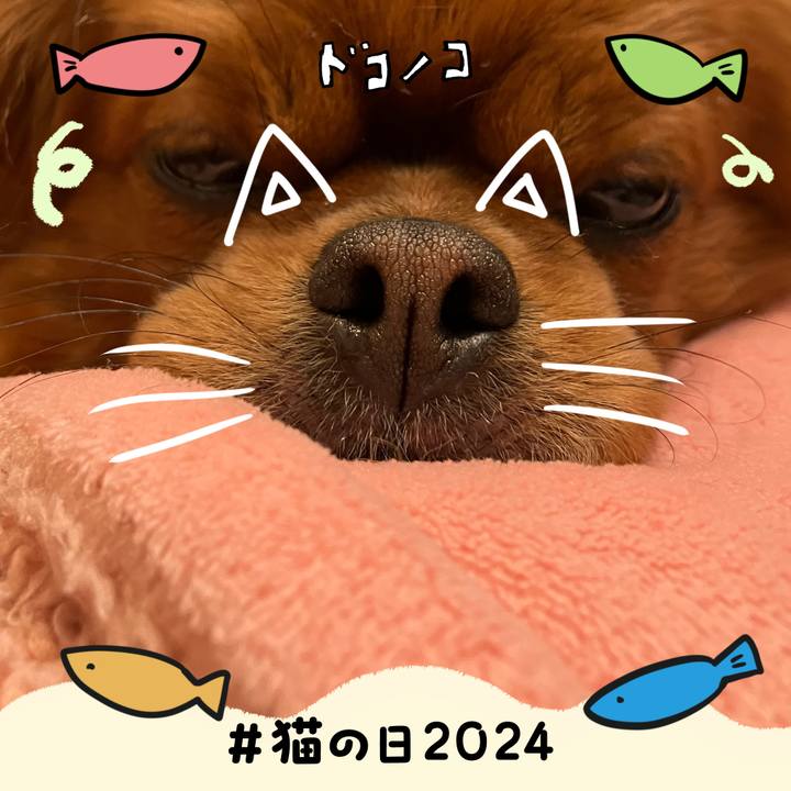 512b67ec cfae 47db 9b6e c7e8b9656681 1708558264204