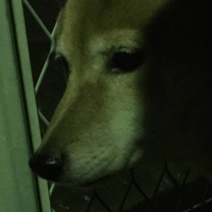 512b69e0 bc74 4e0f afdb 1a130f6ebaba 1546768027047