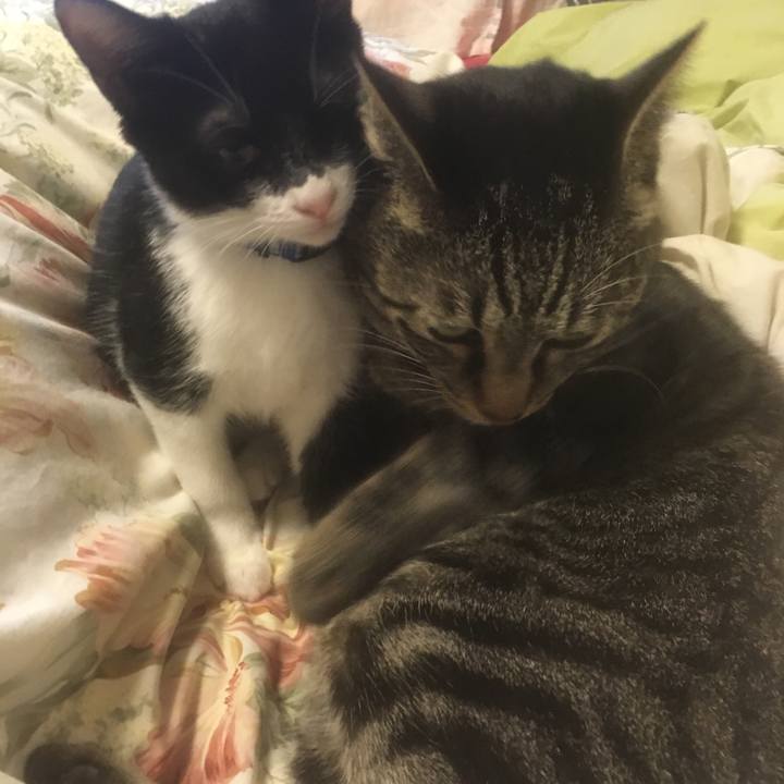 512b76a0 4fb1 4148 88fc b3e0ca79b8c8 1508921036336