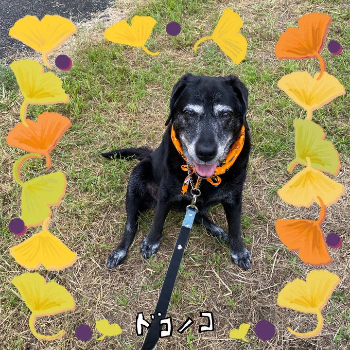 512b966c 4afa 4f1a b2ed 718d797b97d8 1729129956084