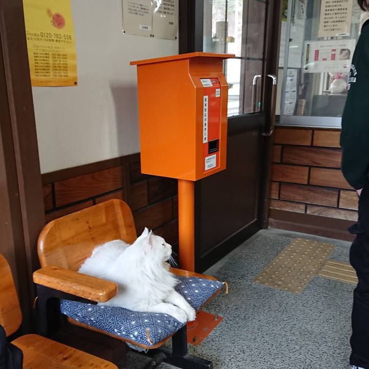 512bccdd f9df 4998 ac22 2c0033a3ec6e 1522880765334