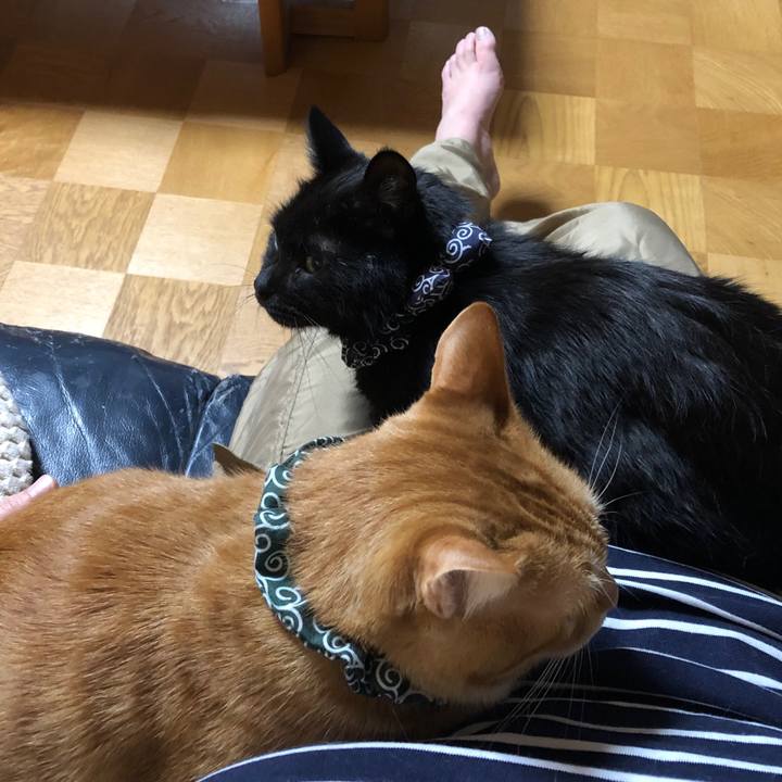 512c2725 d92e 4681 a5b9 fcf35662795e 1577793424964