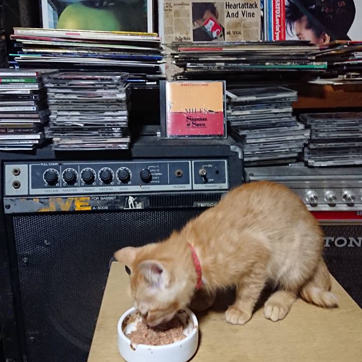 512cb498 ed32 44fb 8828 edb24fb96b66 1631793267559