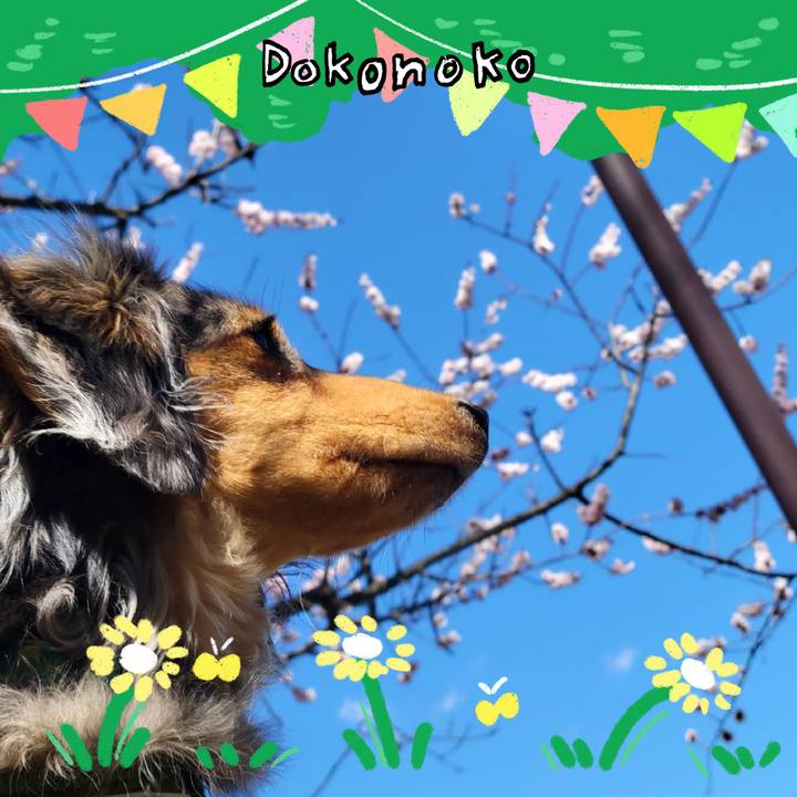 512cc38d be19 451e 94f0 8032801317df 1711101850099