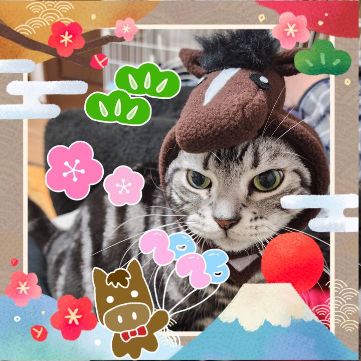 512cd1cc 388d 4f1d 9e98 5496a1e0c989 1767324100463