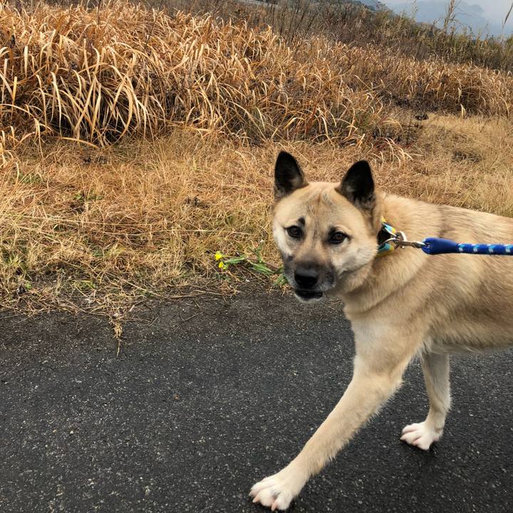 512cd827 f586 4ad9 ab7f 8d67d7e5d727 1549852221229