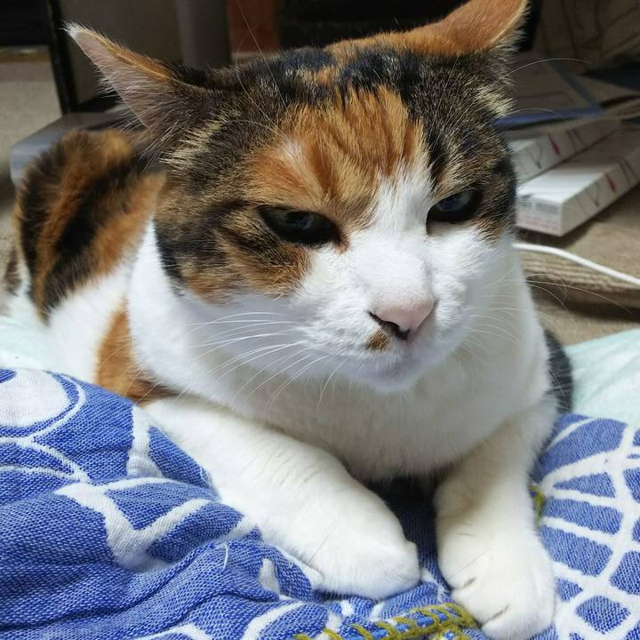 512cdd1c efd0 4b91 a4d4 53f8760bf8e9 1535919545330