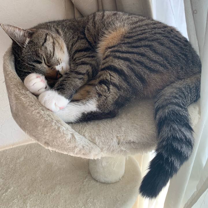 512cf0b5 f36e 4e75 a9dd 4e79ed334313 1555742514114