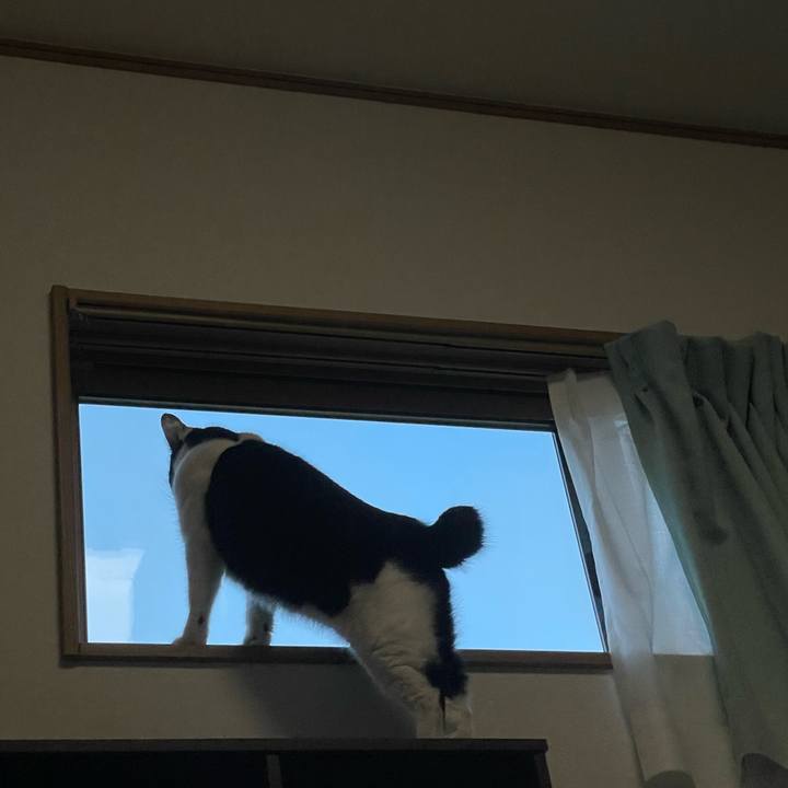 512d0f32 575c 4217 a40c 2a7736111075 1666471823825