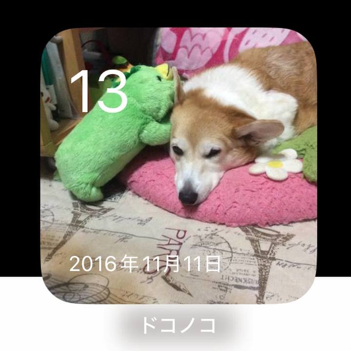 512d5441 8d6c 4c3f 9734 3000ee4cd744 1762989772496