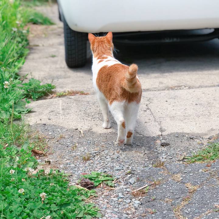 512d684b f00b 4f7c 8d5c aa5543330541 1529043181798