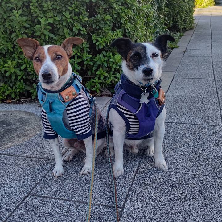 512d712d 873b 4771 b5e7 4c47940016ff 1697929278937