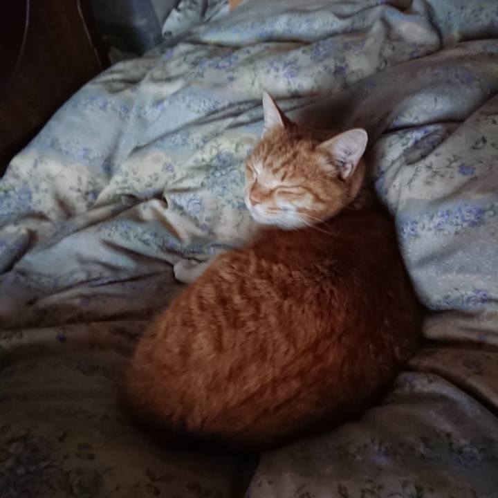 512dab84 c51e 40be b436 e18eb6c2be5b 1582157365365