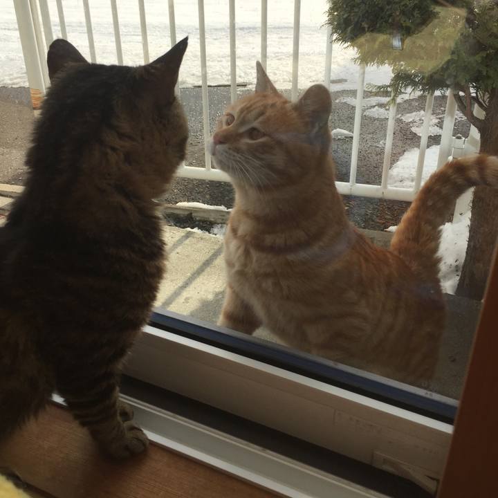 512dcfb5 01a8 423b 9cf9 f22bb623b4bf 1540268275965