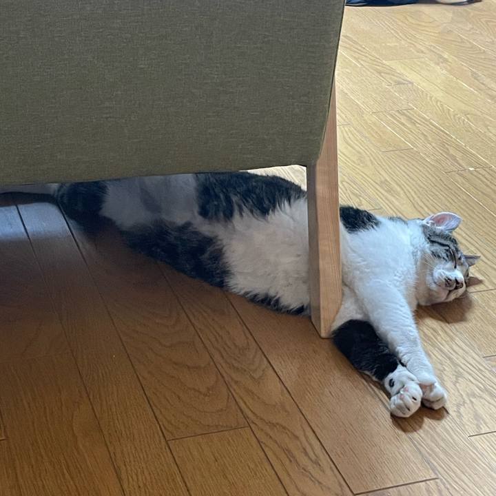 512dd16a 3574 42f7 82df 775e31f8219f 1692420521663