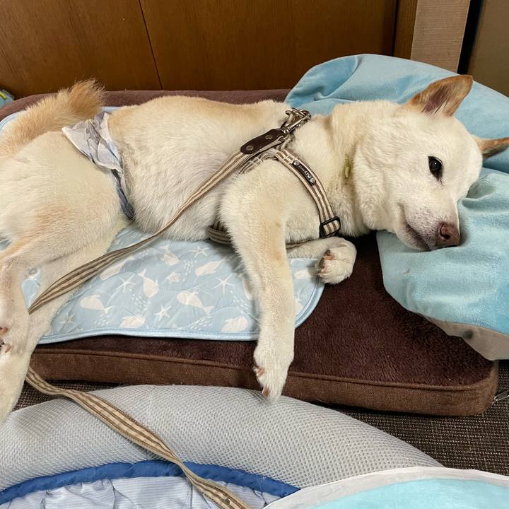 512dd65c 7b94 4f6e b6b0 9845c48a9e72 1652525718864