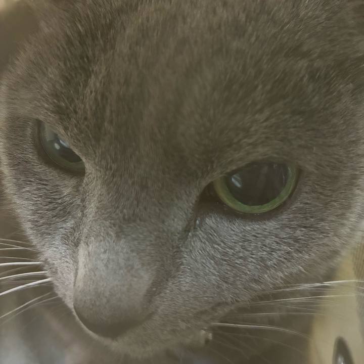 512e1494 9198 40ae a0ef 41feea9150d6 1762518216758