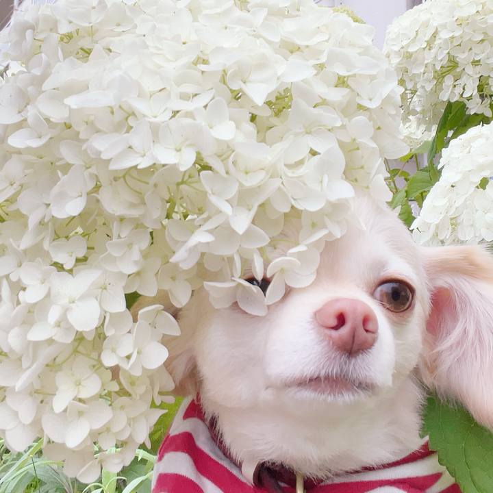 512e66cc 8832 44dc bbca 4bf3623ecb0c 1686039126336