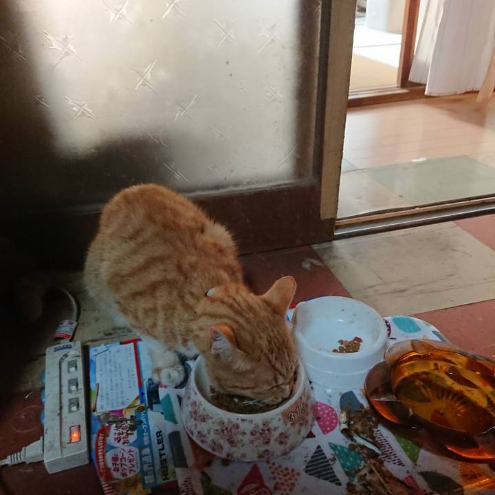 512e8b7d 3dcd 424f b052 563f2967cd9c 1592597631364