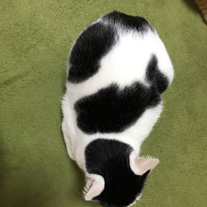 512ea3a0 c8b6 4581 b624 484537155143 1520567083830