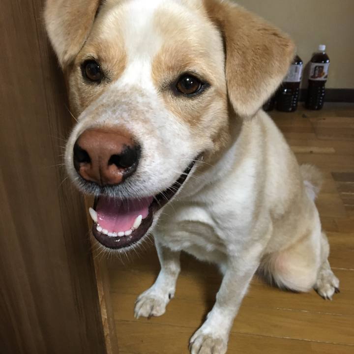 512eb069 1785 4225 909b 476342728996 1526336810896