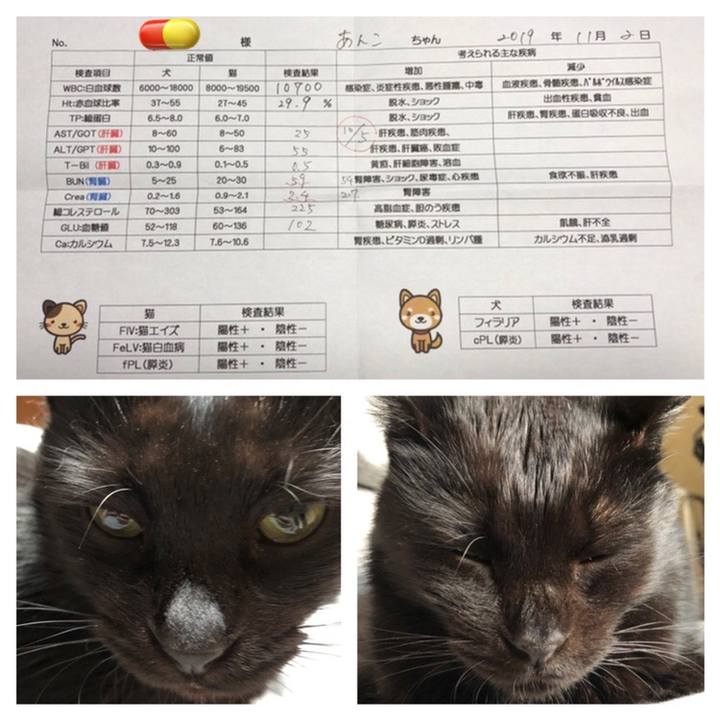 512ee2e0 a571 4da9 ad67 0ce81585aefb 1572680497373