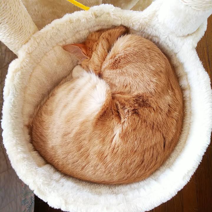 512efe58 ac6a 409b 8375 ceb20a15c3ac 1588300163967