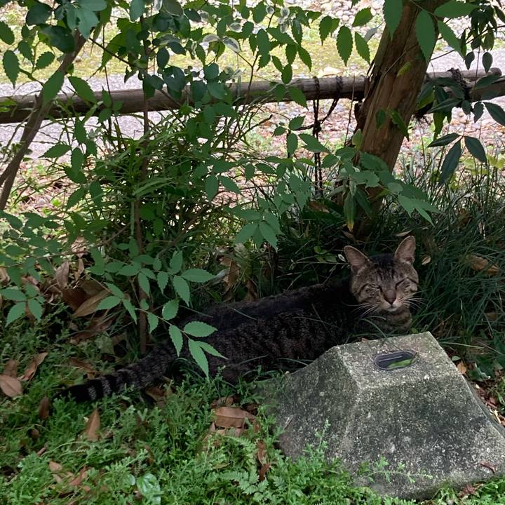 512f1045 6806 49a1 83fa 977e30e5ccc3 1653713354999