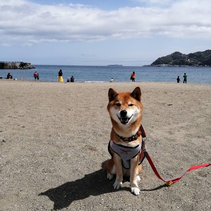 512f119d 4610 43de 9432 3e44b1ca18e7 1617008154157