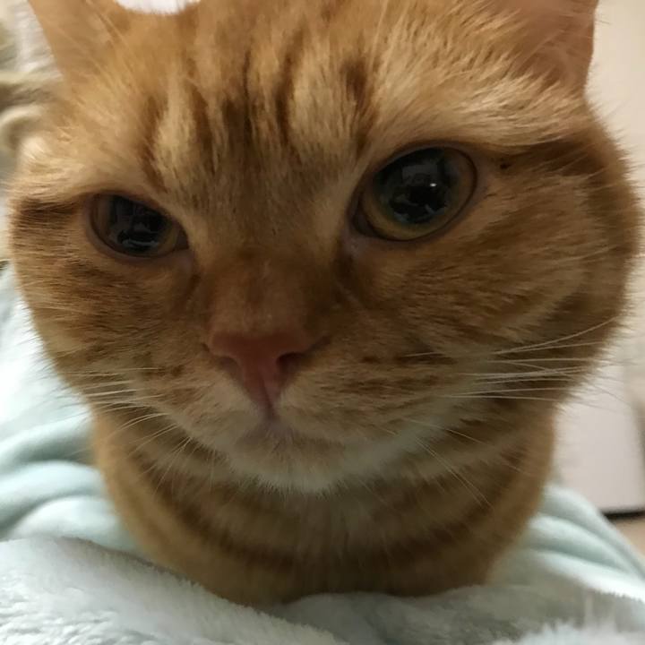 512f2779 9364 4941 af89 2590689752d0 1513600738099