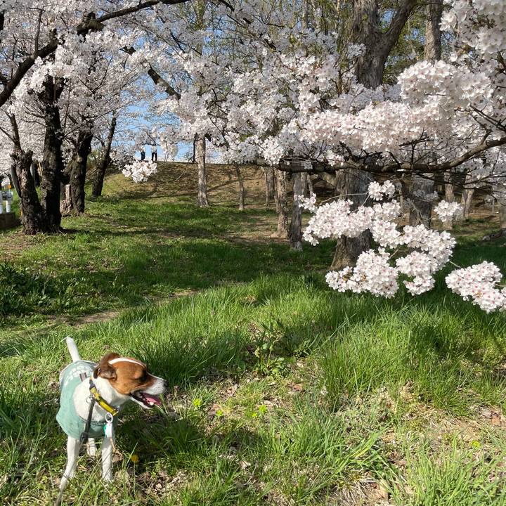 512f9c3f 80e9 40d2 a26f e95e28d2f261 1649760077555