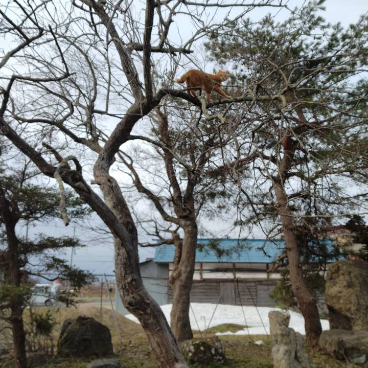 512fa6c9 e68d 4804 8126 fea721120c94 1679004368087