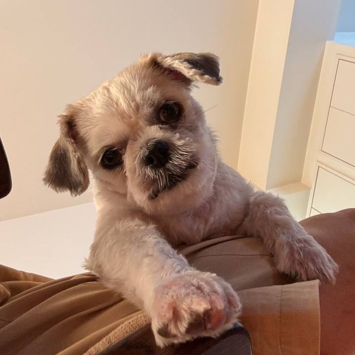 512fb31f 9e9b 4a3b bb33 40b22bfee598 1757540999079