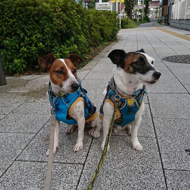 512fc5d4 e945 4cbc 8d0f 9f6fefc1b2ba 1568501061093