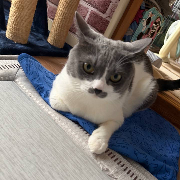 512fc626 bcb4 494a 92eb 4ddc02f44067 1760051534695