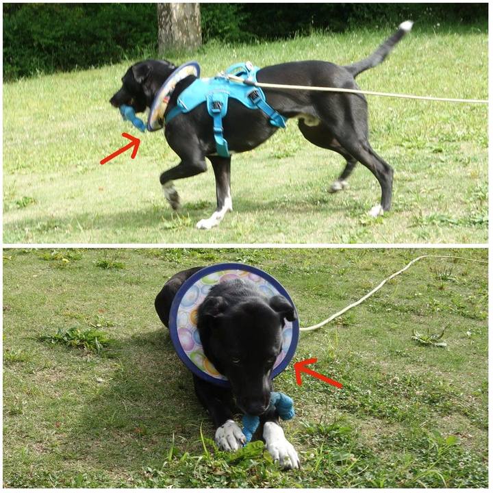 512fd3be ae6f 4d71 92c0 f460abcd2a53 1620781968679