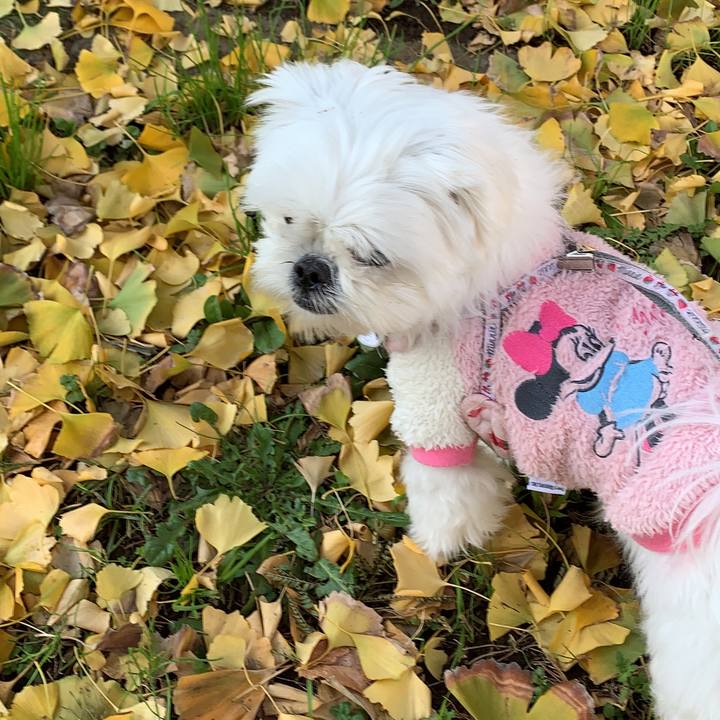 512fdc67 faf0 4e3b a662 b5767f4724d4 1638531456483