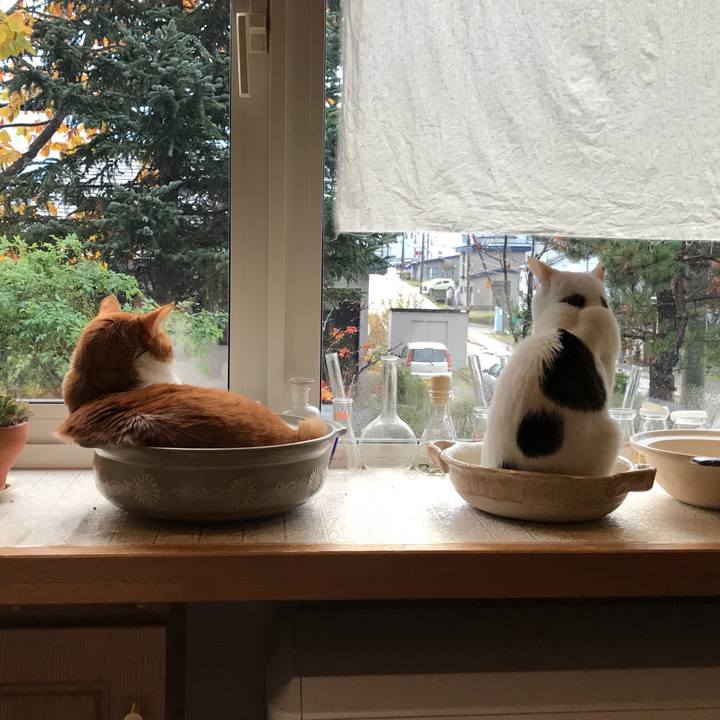 512fe2e3 0d86 4838 9b51 fef070fa2245 1541107977430