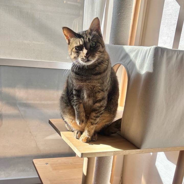 513087f3 a184 4ce6 9ed7 1bd869ea083e 1761781963970