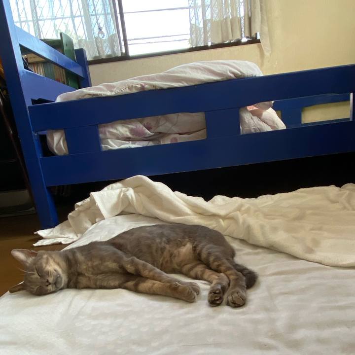 513093e8 edb3 451e b8d3 49cb4f6a095e 1597622546351