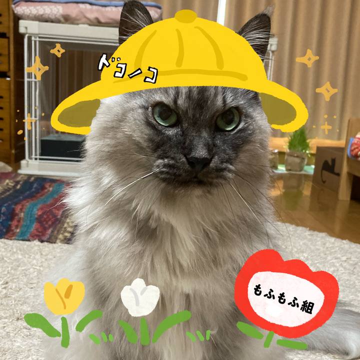 51310470 f964 43c5 8707 3bd56e67c629 1712542815258