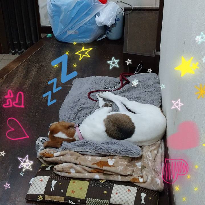 51311a61 f998 4d9f 958d 9b91efa68030 1584628235627